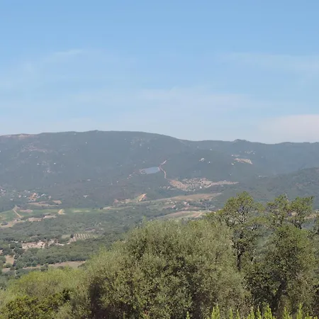 Maquis Et * Sollacaro