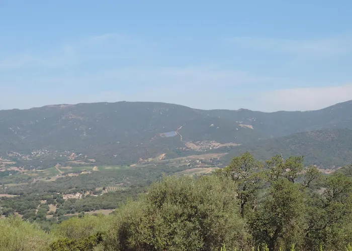 Maquis Et * Sollacaro